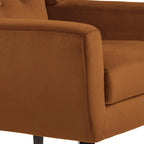 Lot de 2 fauteuils d'appoint en velours pour salon